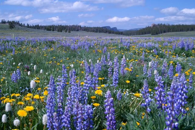 There are few places like this. Please help preserve it.