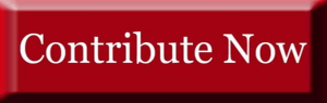 Contribute_Button