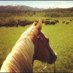 Fishtail Basin Ranch2