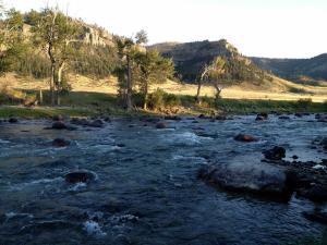 It's worth the effort to keep this pristine