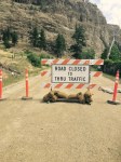 Road closed
