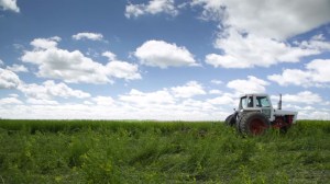 Photo: High Plains Heritage Project