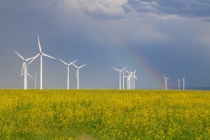 Wind turbines at Judith Gap